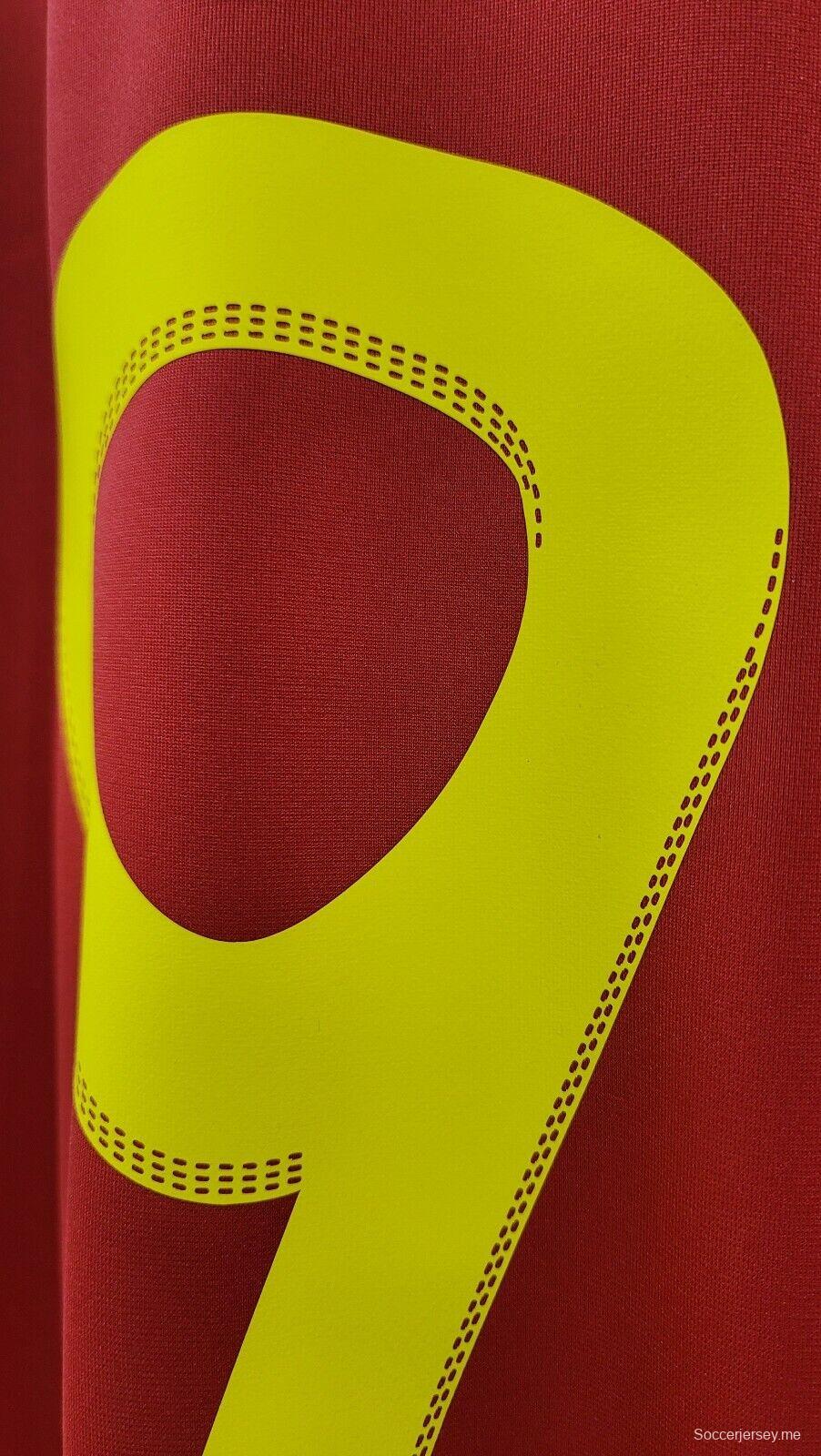 قميص منتخب إسبانيا 2010 ريترو 2010

