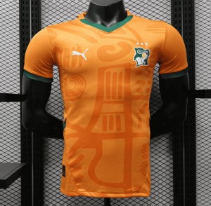 نسخة اللاعب 2024 القميص الأساسي 2024 IVORY COAST COAST